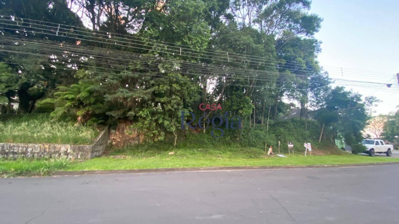 Terreno, 1250 m² - Foto 5