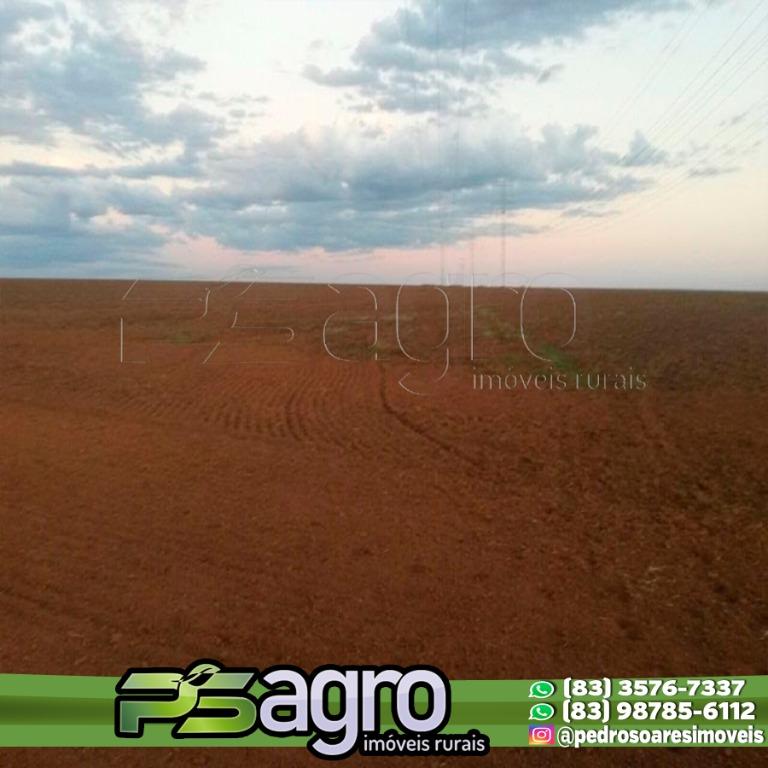 Fazenda-Sítio-Chácara, 46000 hectares - Foto 2