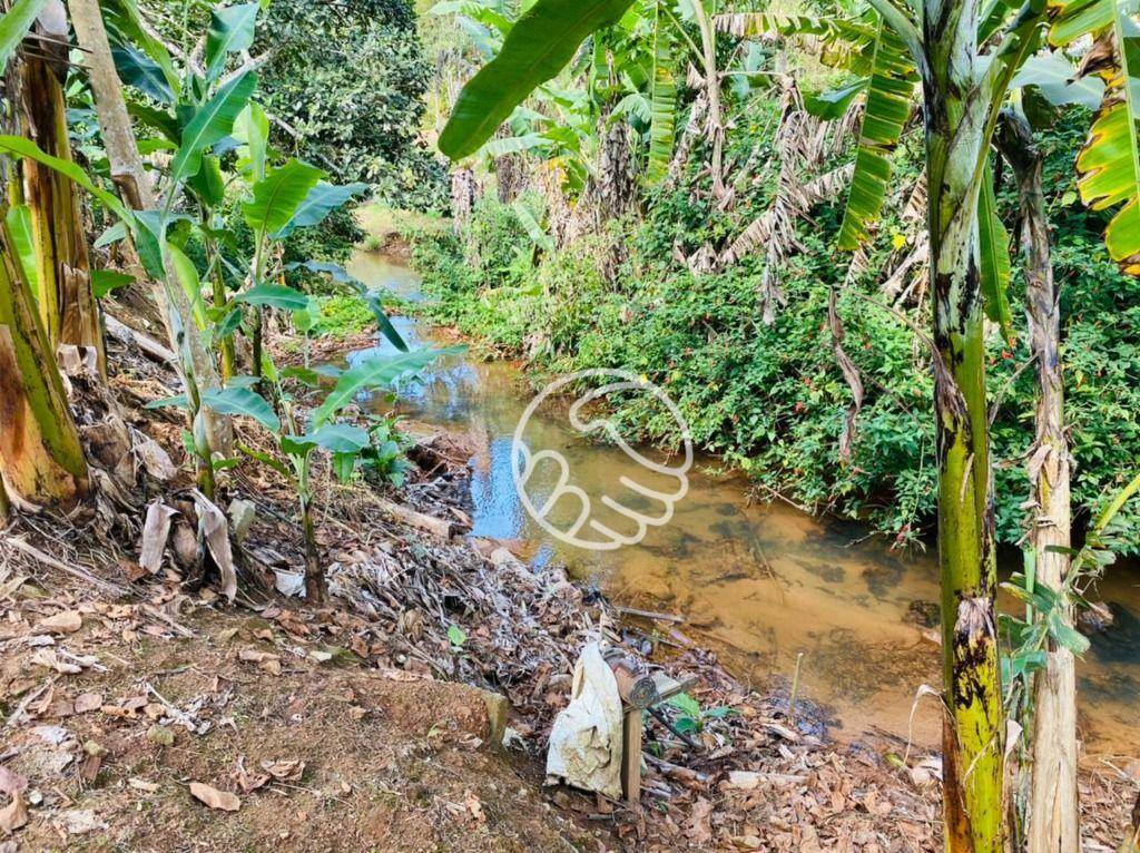 Sítio, 4 quartos, 2 hectares - Foto 7