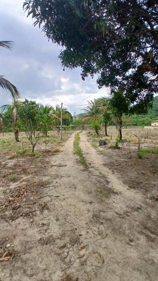 Fazenda à venda com 2 quartos, 31000m² - Foto 22