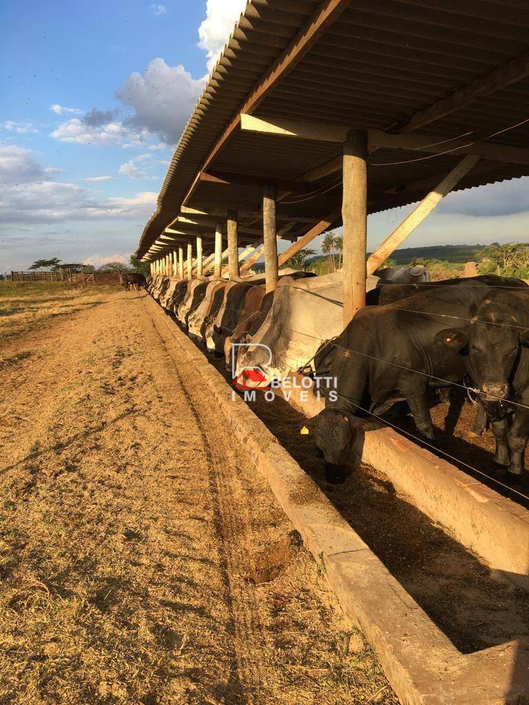 Fazenda à venda, 556600M2 - Foto 14