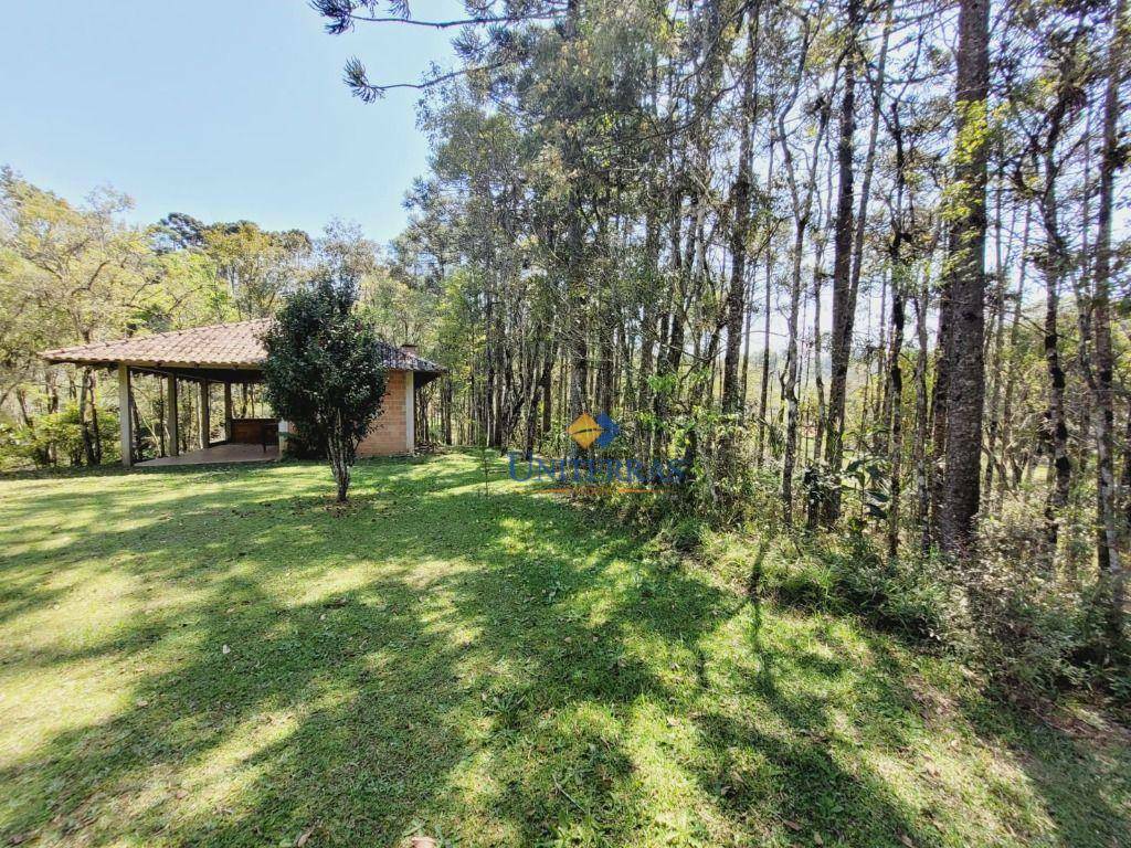 Chácara à venda com 1 quarto, 34260M2 - Foto 8