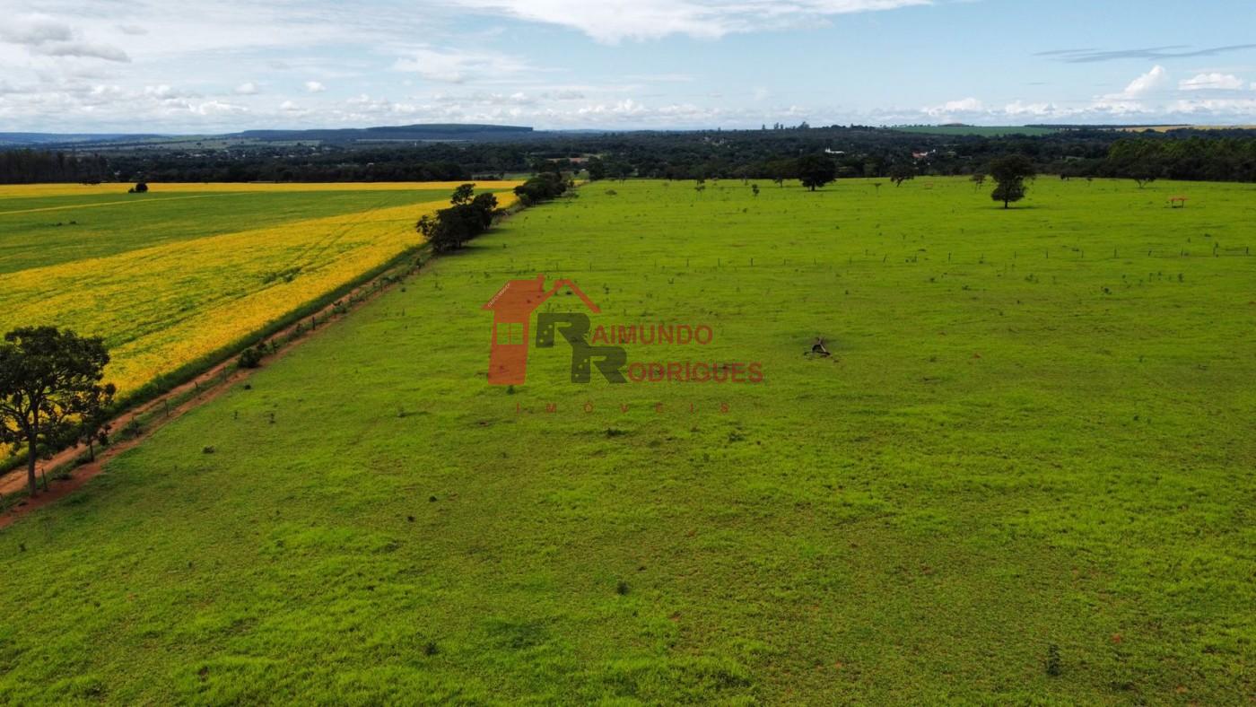 Fazenda-Sítio-Chácara, 50 m² - Foto 2