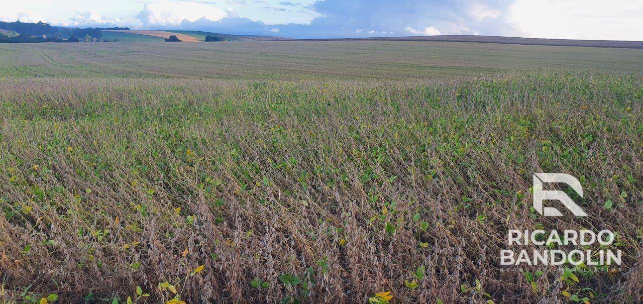 Fazenda à venda, 2057000M2 - Foto 3