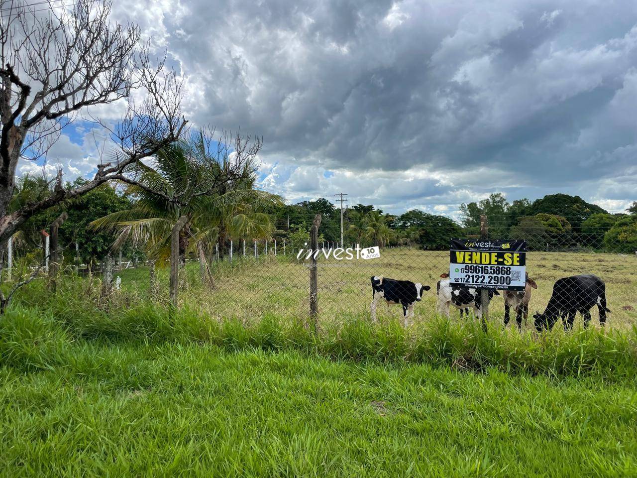 Sítio, 3 quartos, 3 hectares - Foto 2