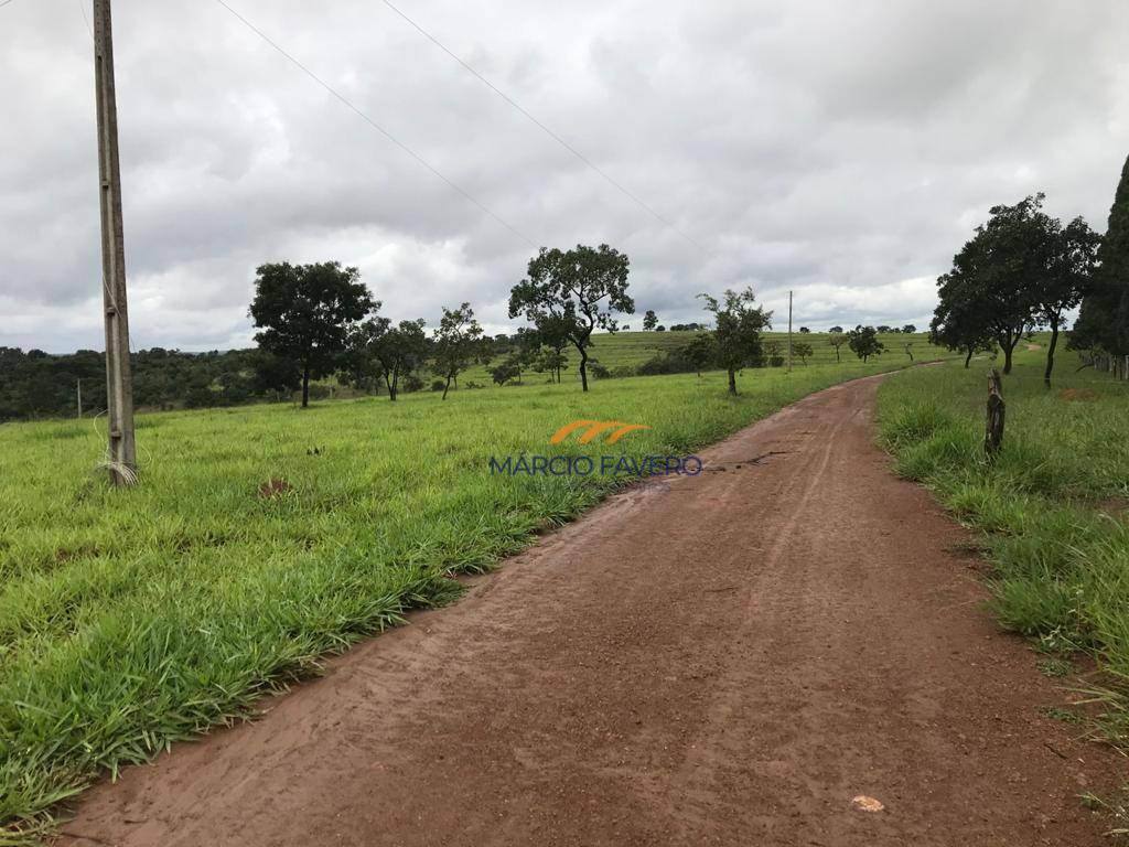 Fazenda à venda, 4250000M2 - Foto 1