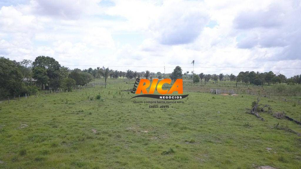 Sítio, 2 quartos, 40 hectares - Foto 4