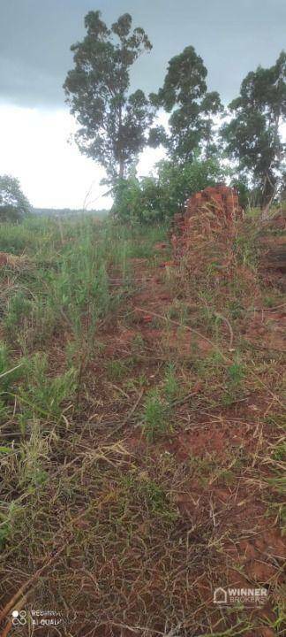 Terreno à venda, 300M2 - Foto 4