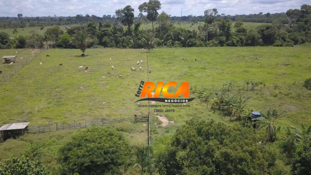 Sítio, 40 hectares - Foto 9