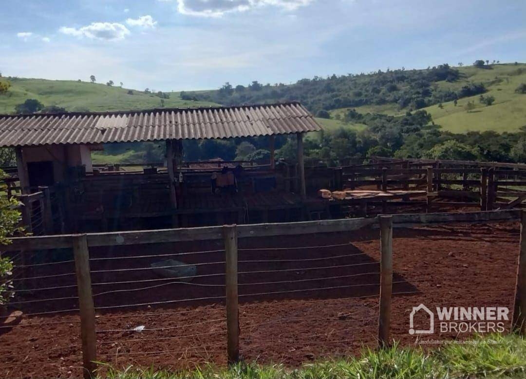 Fazenda à venda com 2 quartos, 2299000M2 - Foto 16