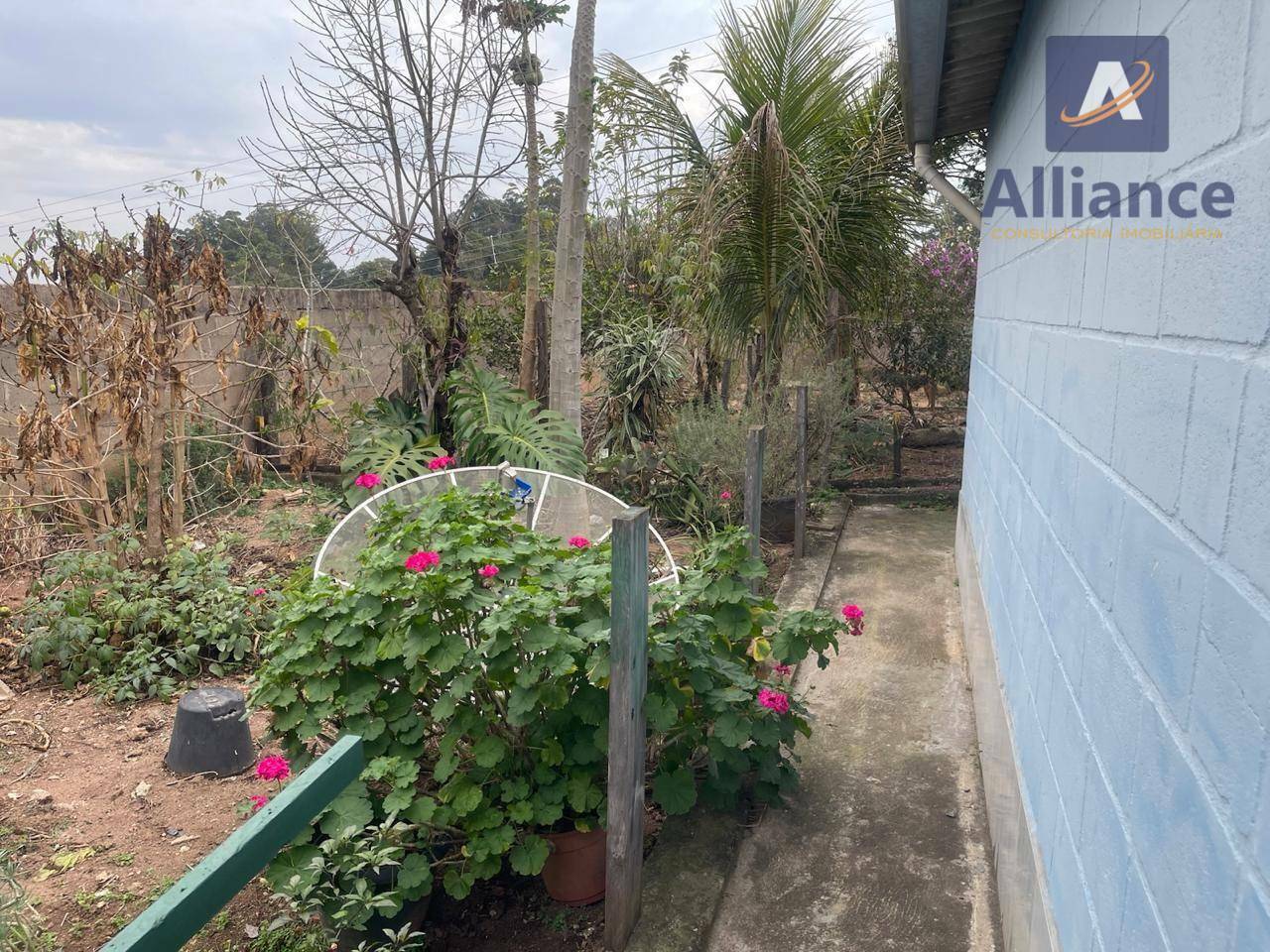 Chácara, 3 quartos, 1000 m² - Foto 30