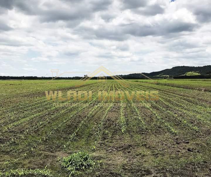 Fazenda à venda, 1086m² - Foto 3