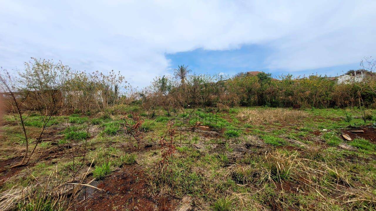 Chácara, 3 hectares - Foto 6