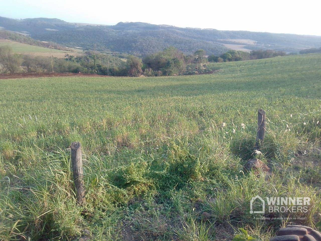 Fazenda à venda, 1379400M2 - Foto 26