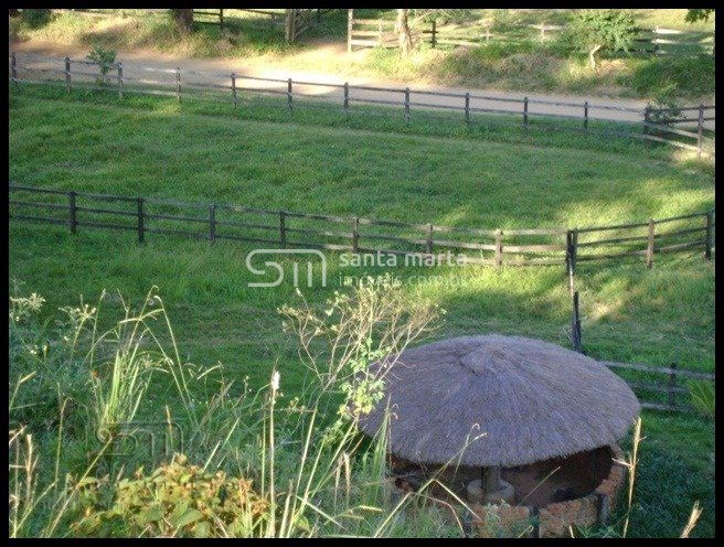 Fazenda à venda com 10 quartos, 5000m² - Foto 10