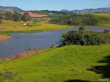 Fazenda, 36 hectares - Foto 3