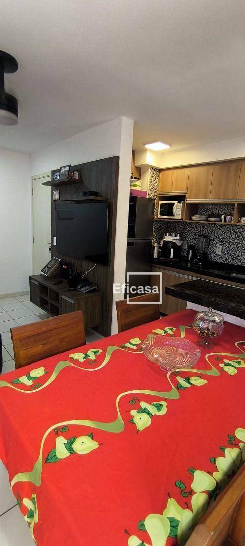 Apartamento à venda com 2 quartos, 50m² - Foto 25