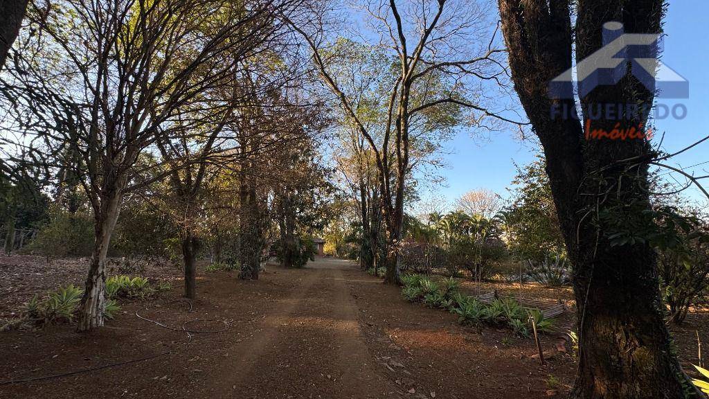 Sítio, 4 hectares - Foto 6