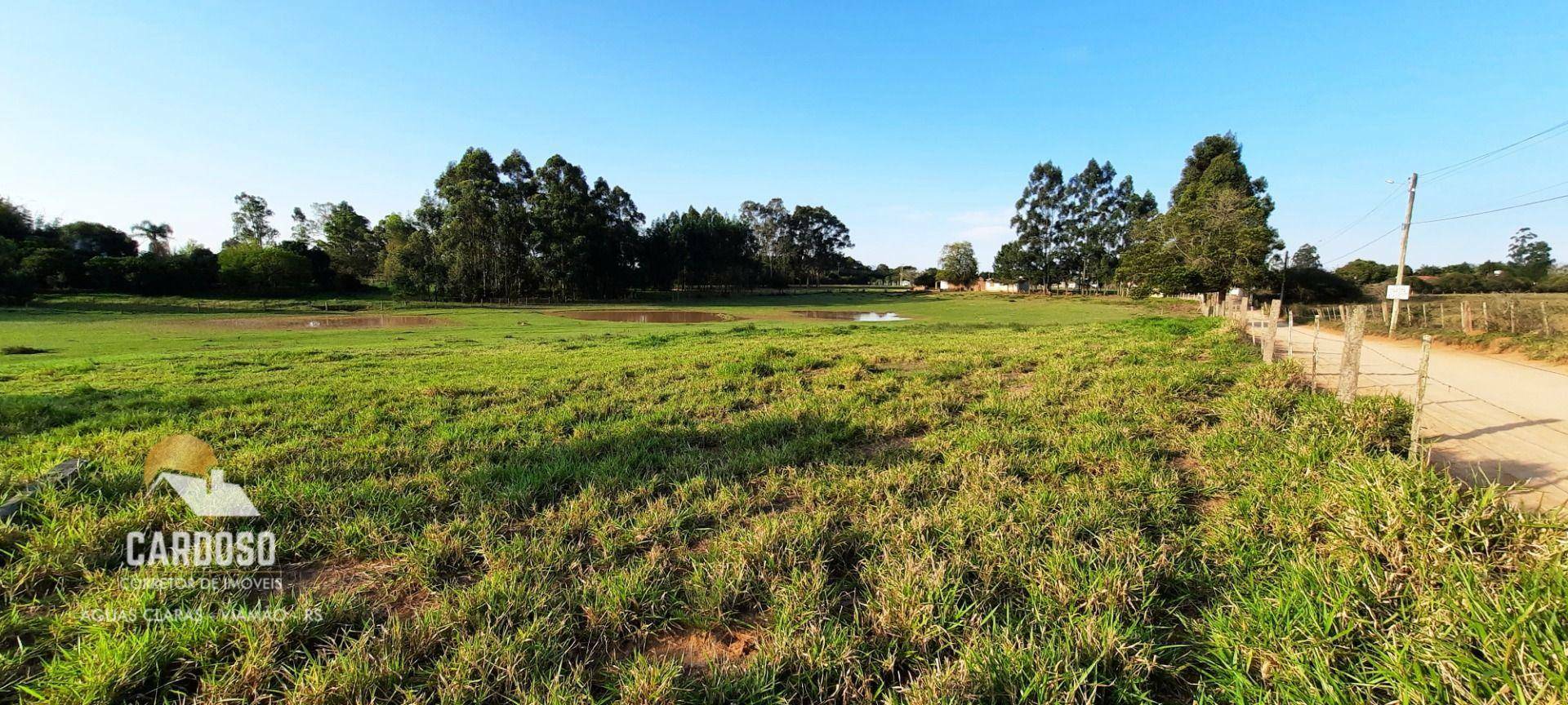 Sítio à venda, 3000M2 - Foto 11