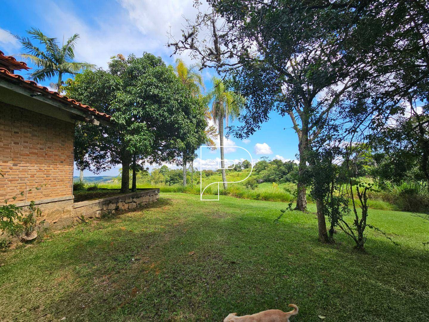 Terreno, 4 hectares - Foto 5