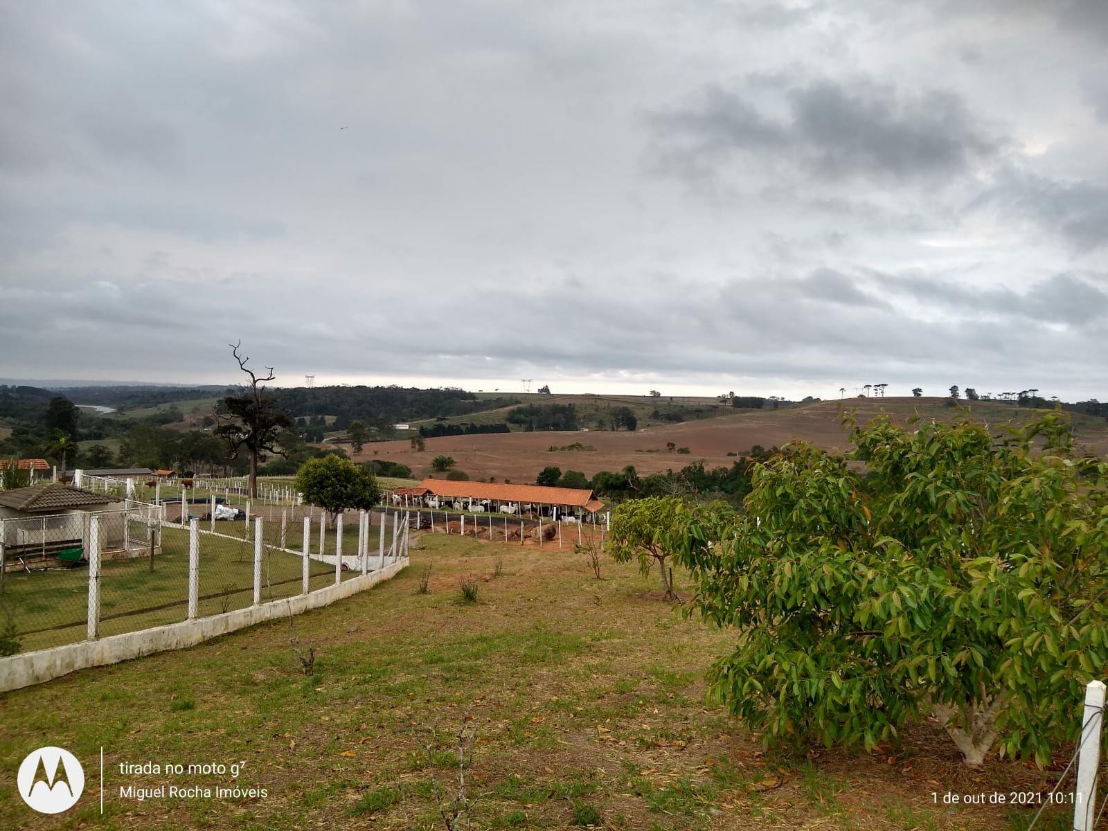 Fazenda à venda com 8 quartos, 3146000m² - Foto 31