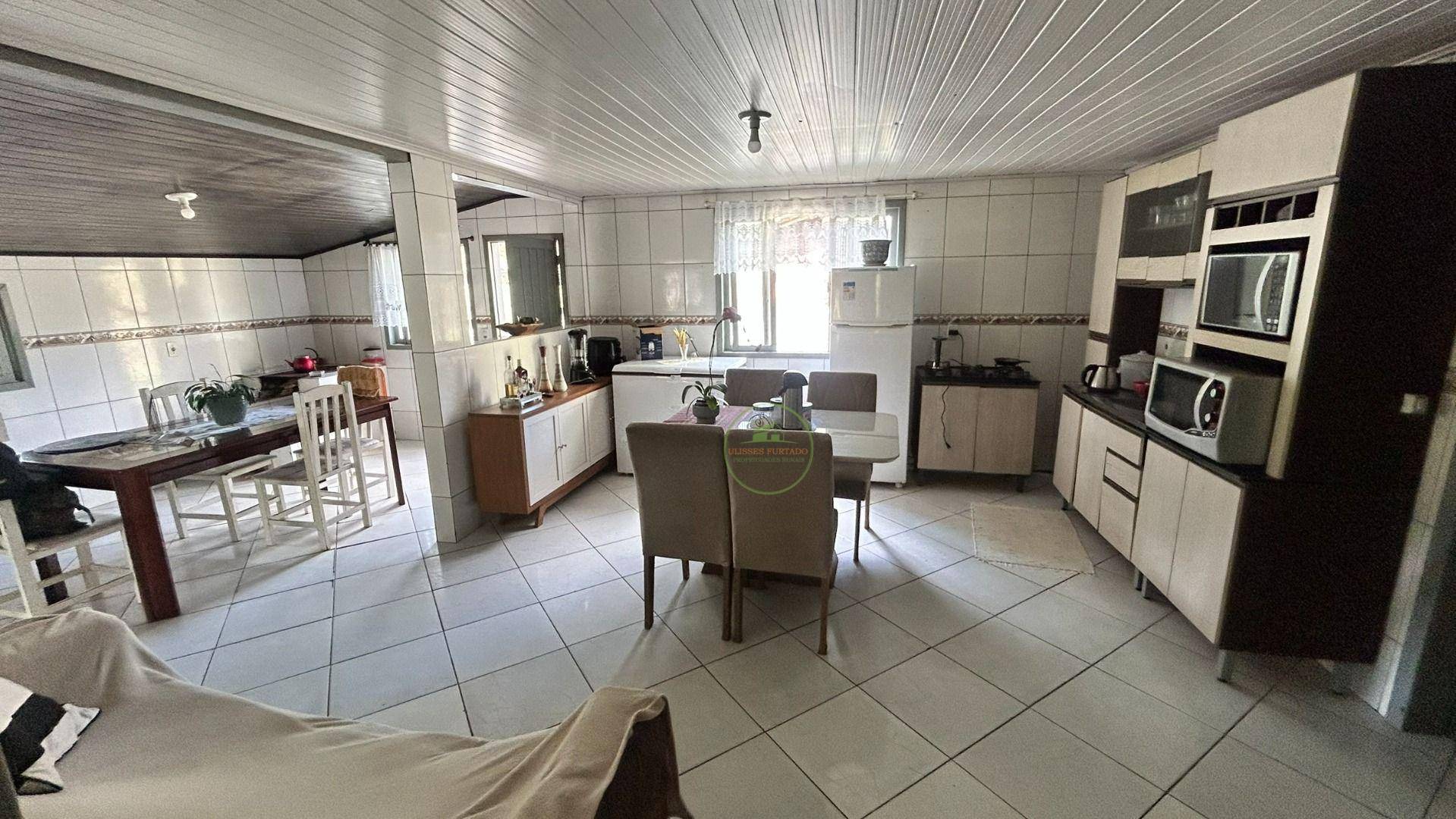 Sítio, 10000 m² - Foto 3