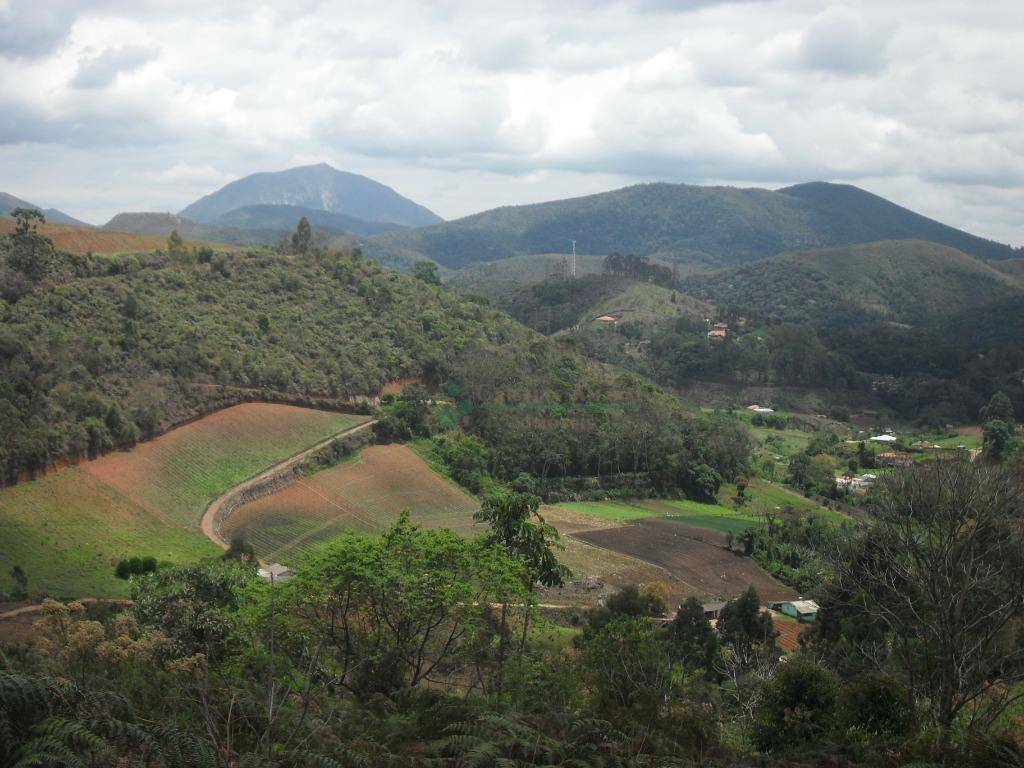 Loteamento e Condomínio à venda, 1024M2 - Foto 6