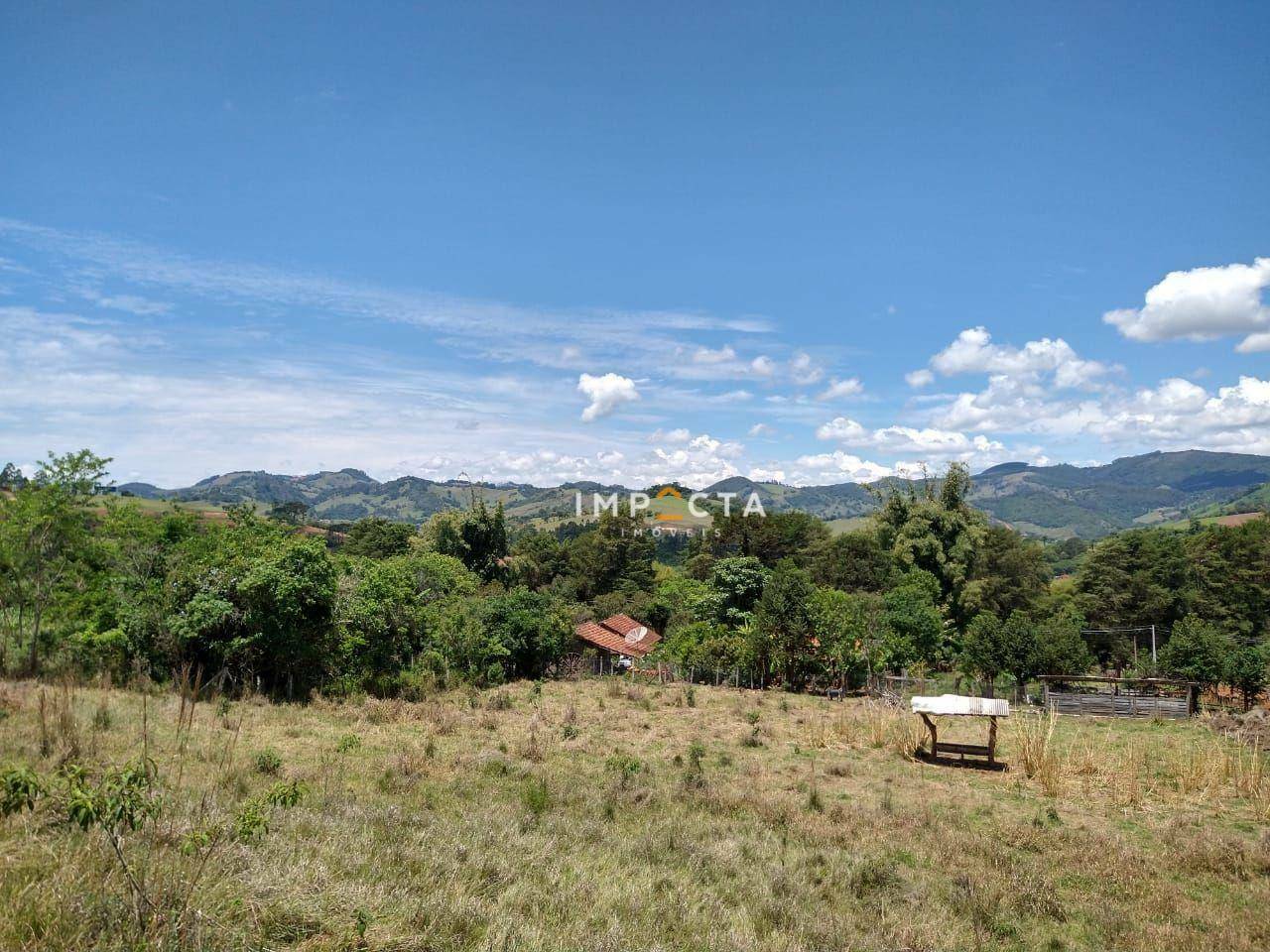 Sítio à venda com 3 quartos, 58000M2 - Foto 41