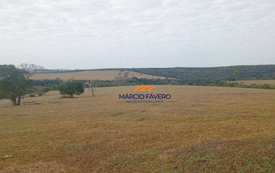 Fazenda, 145 hectares - Foto 5