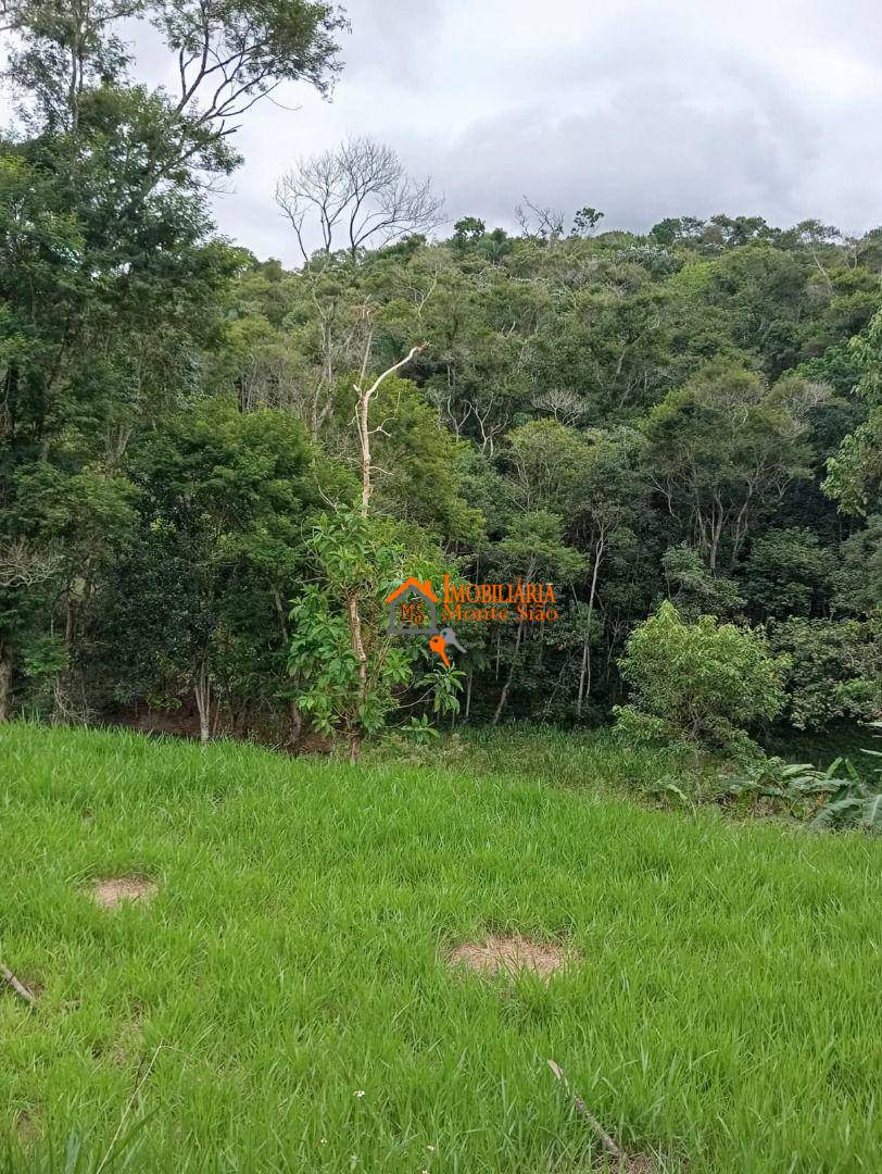 Terreno, 5000 m² - Foto 2