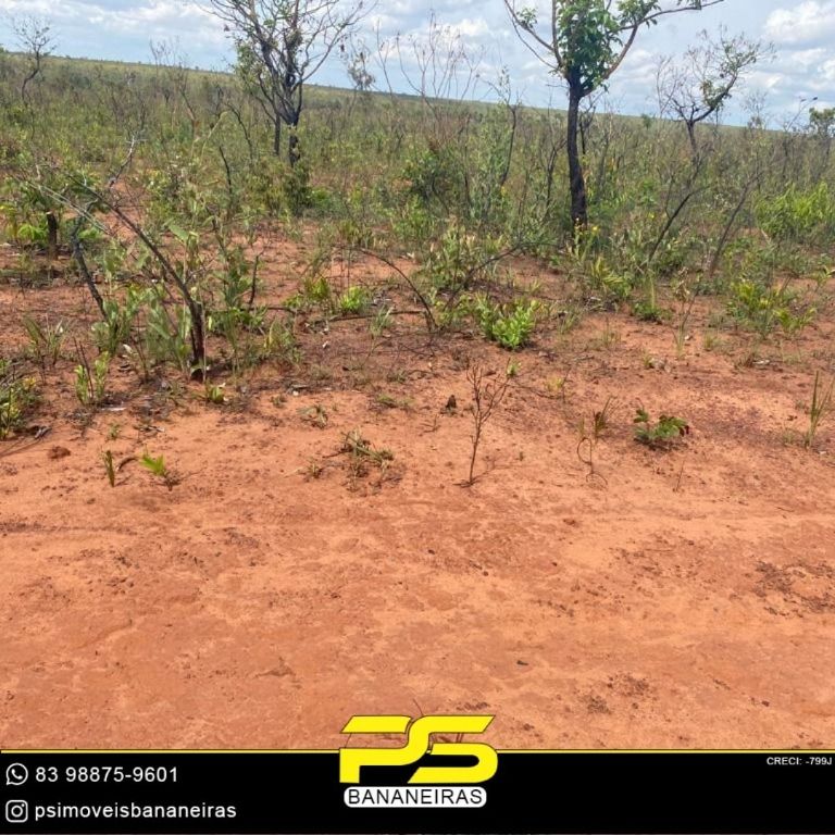 Fazenda-Sítio-Chácara, 1452 hectares - Foto 3