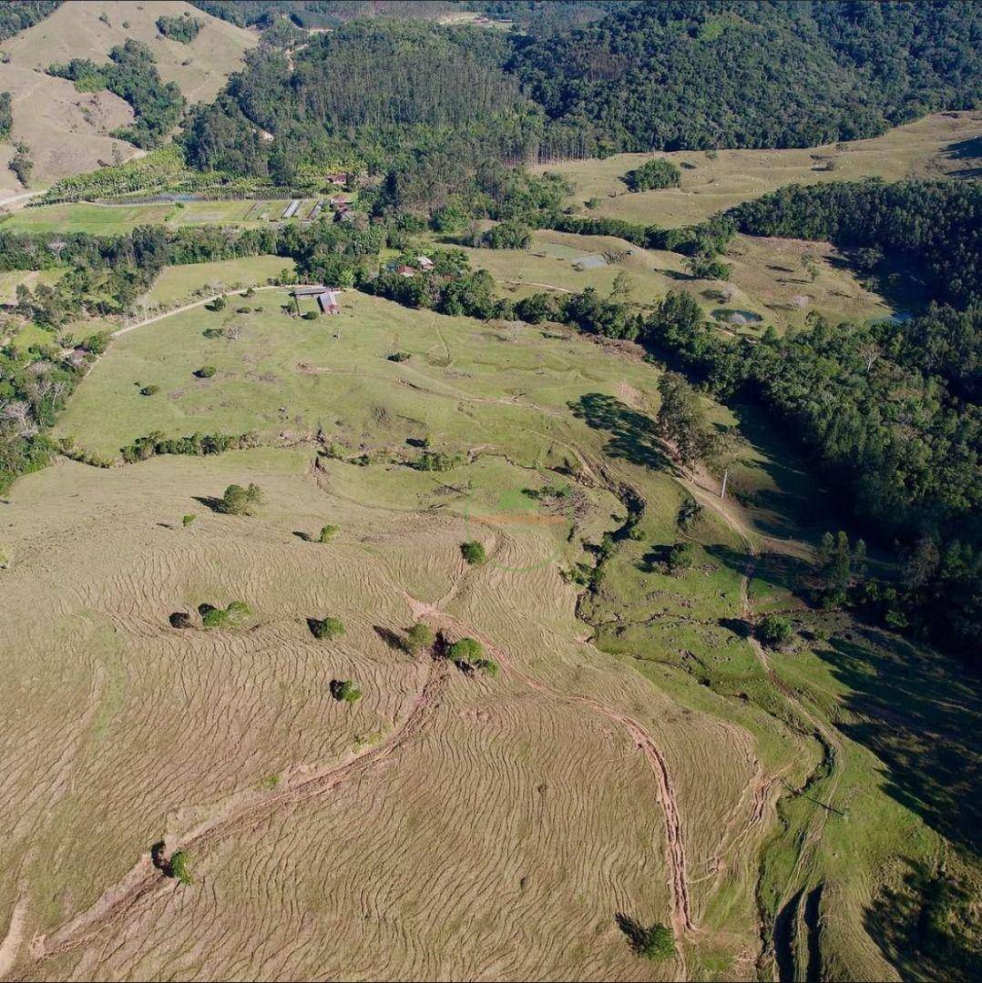 Fazenda, 260 hectares - Foto 4
