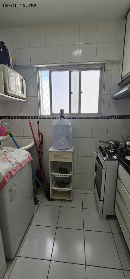 Apartamento à venda com 2 quartos, 54m² - Foto 24