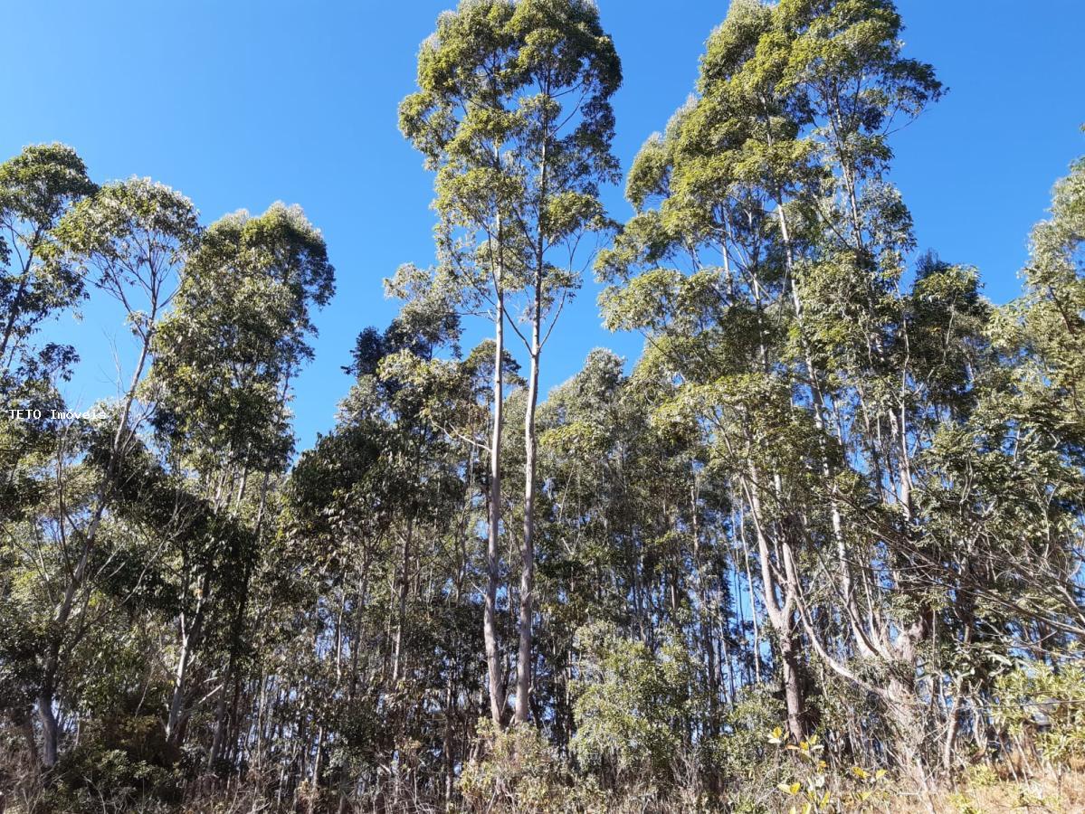 Fazenda à venda, 192m² - Foto 15