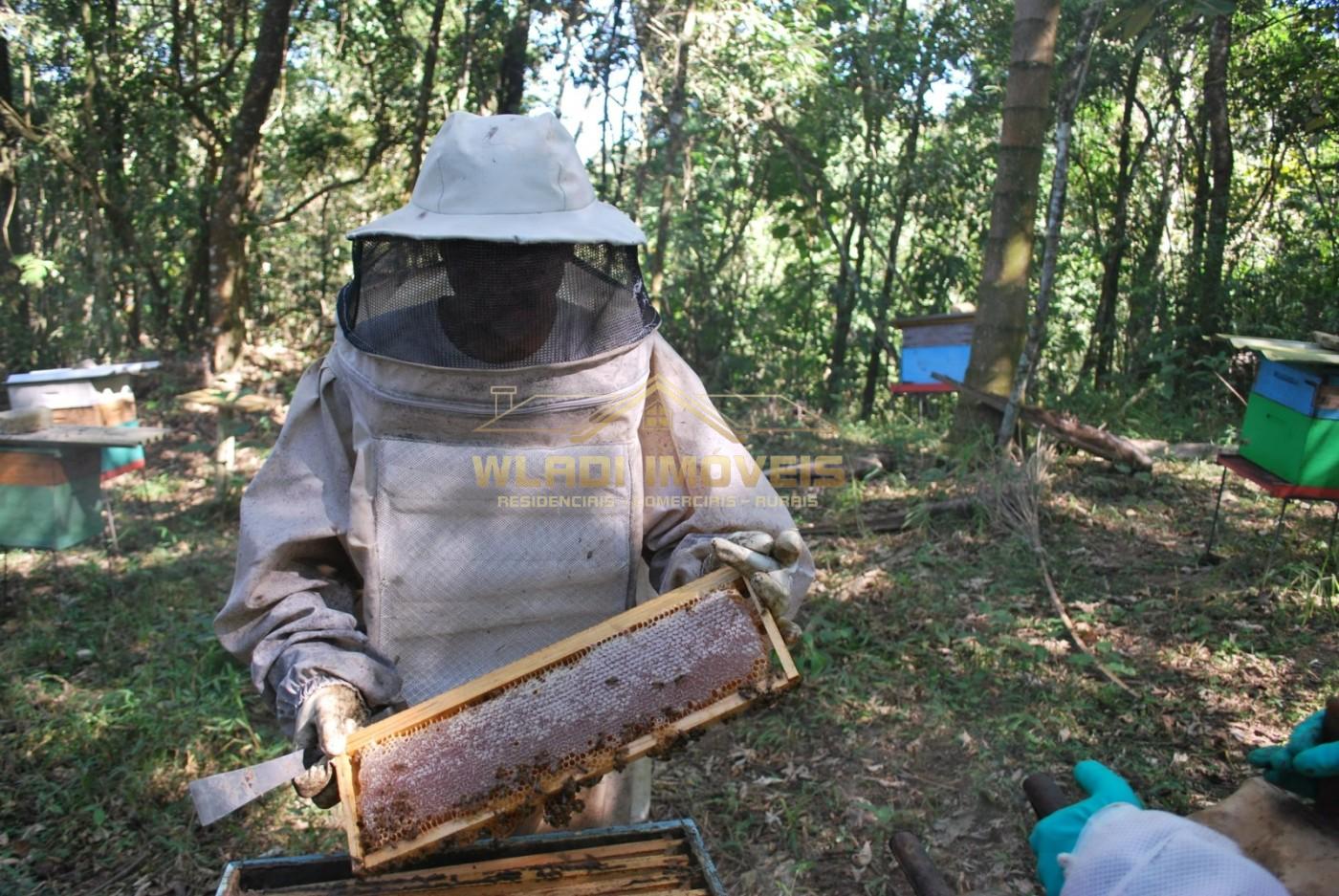 Fazenda-Sítio-Chácara, 20 m² - Foto 18