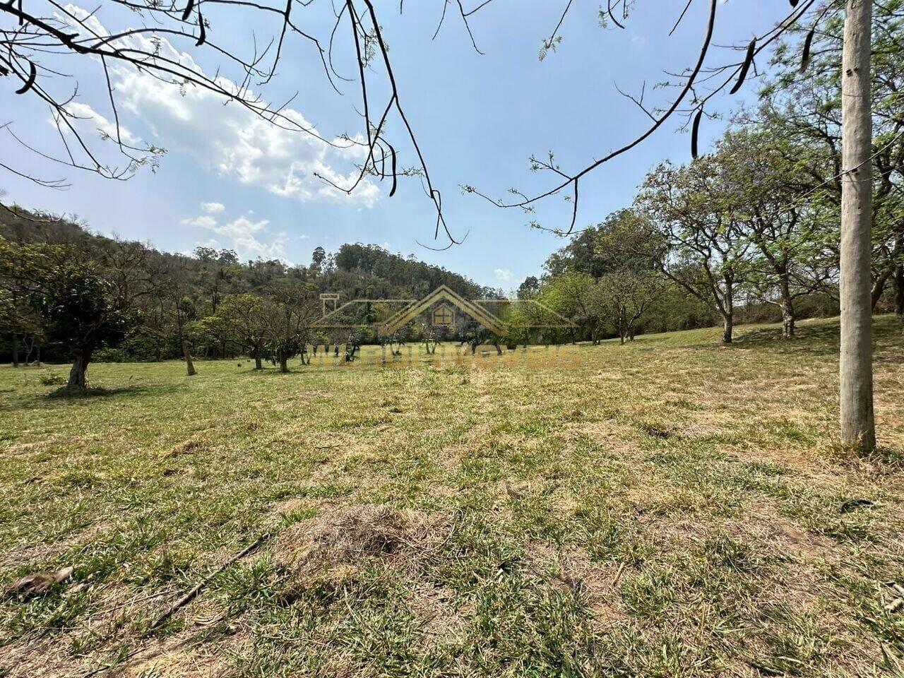 Fazenda à venda com 3 quartos, 14m² - Foto 6