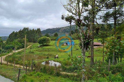 Chácara, 2 hectares - Foto 23