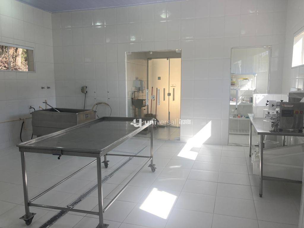 Fazenda à venda com 5 quartos, 383100M2 - Foto 31