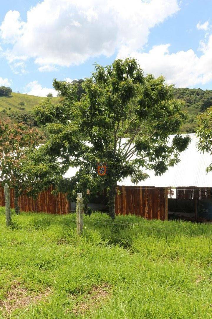 Sítio à venda com 19 quartos, 1859m² - Foto 227