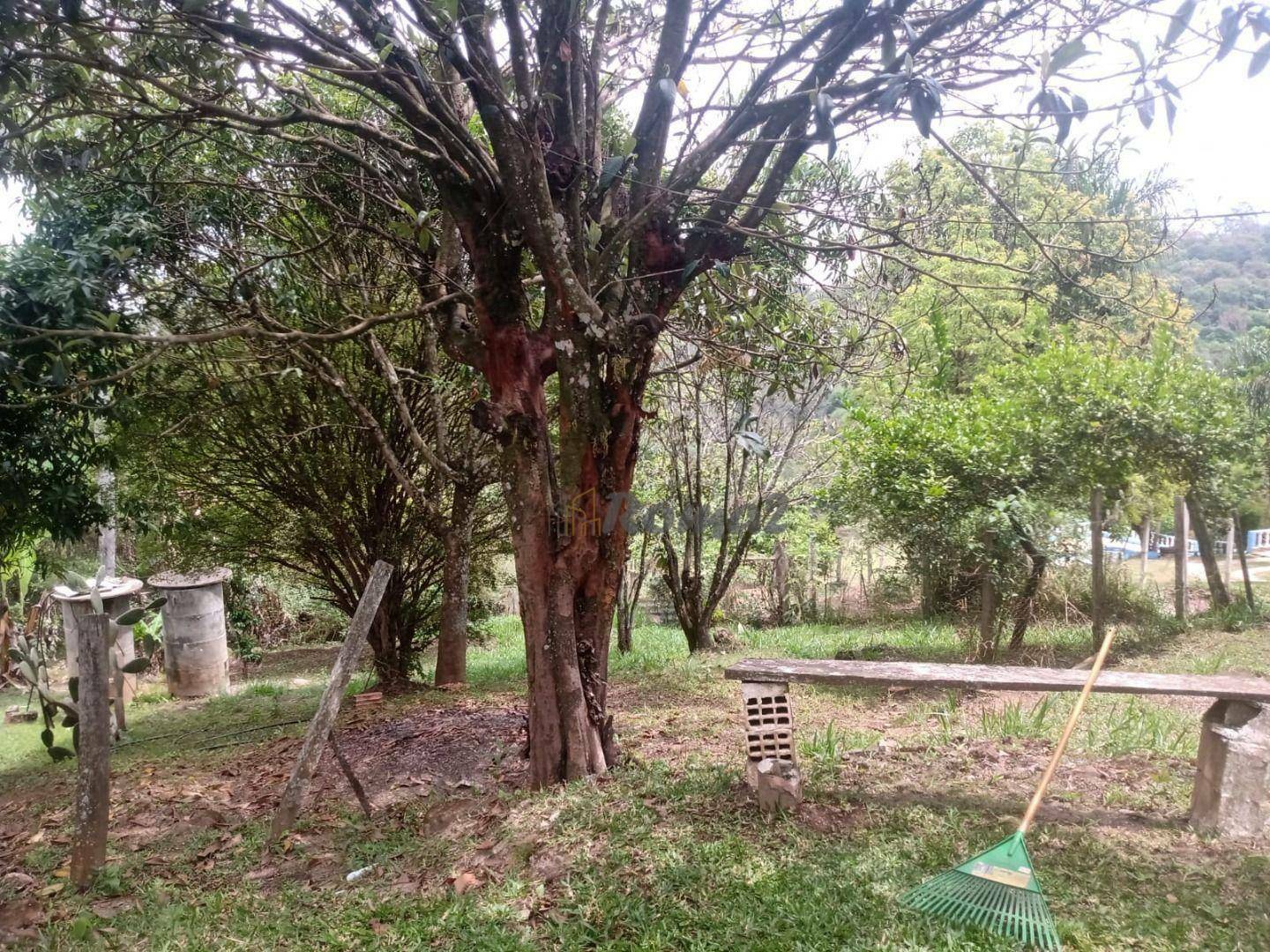 Chácara à venda com 3 quartos, 1M2 - Foto 4