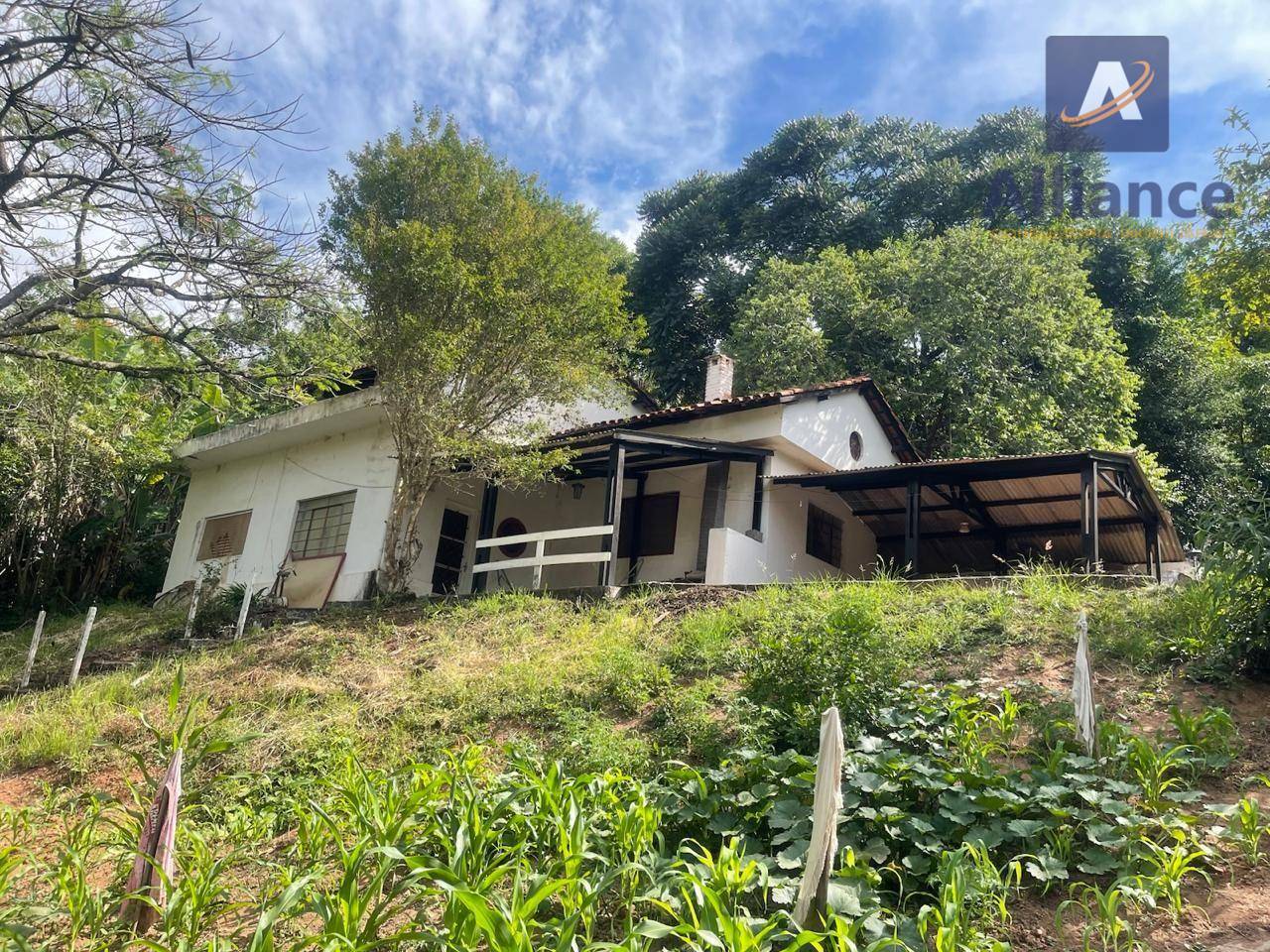 Chácara, 3 quartos, 2636 m² - Foto 1