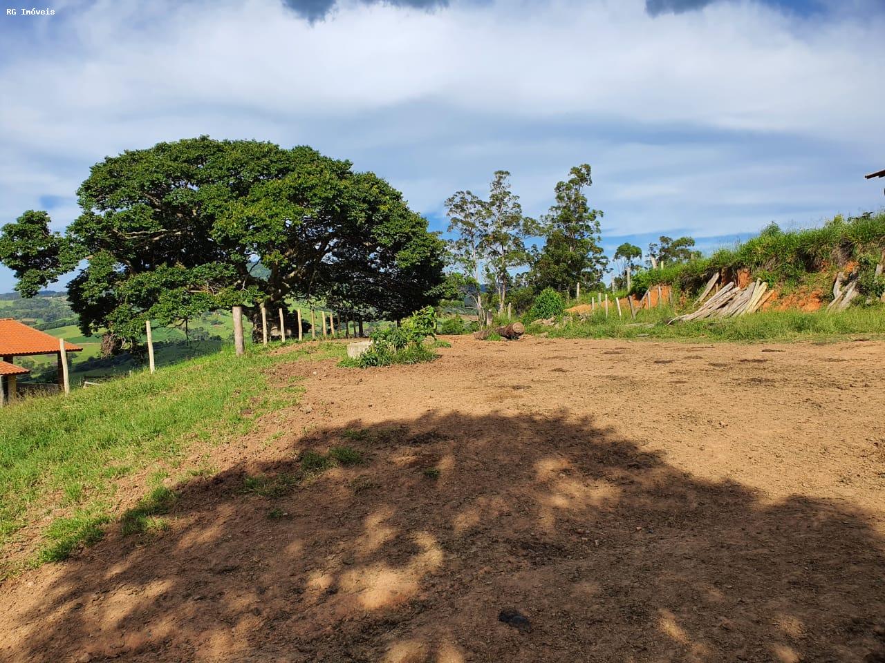 Fazenda à venda com 2 quartos, 220m² - Foto 8