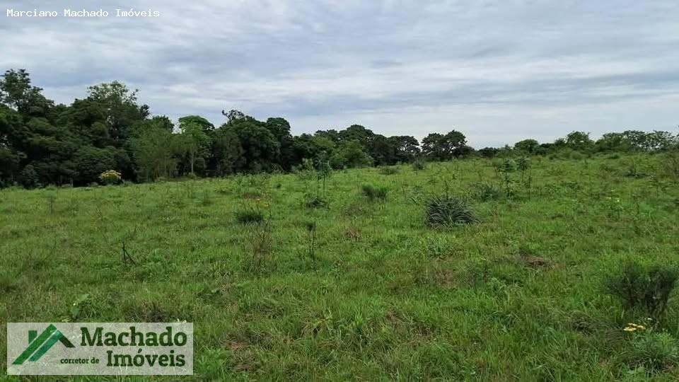 Fazenda à venda, 440000m² - Foto 6