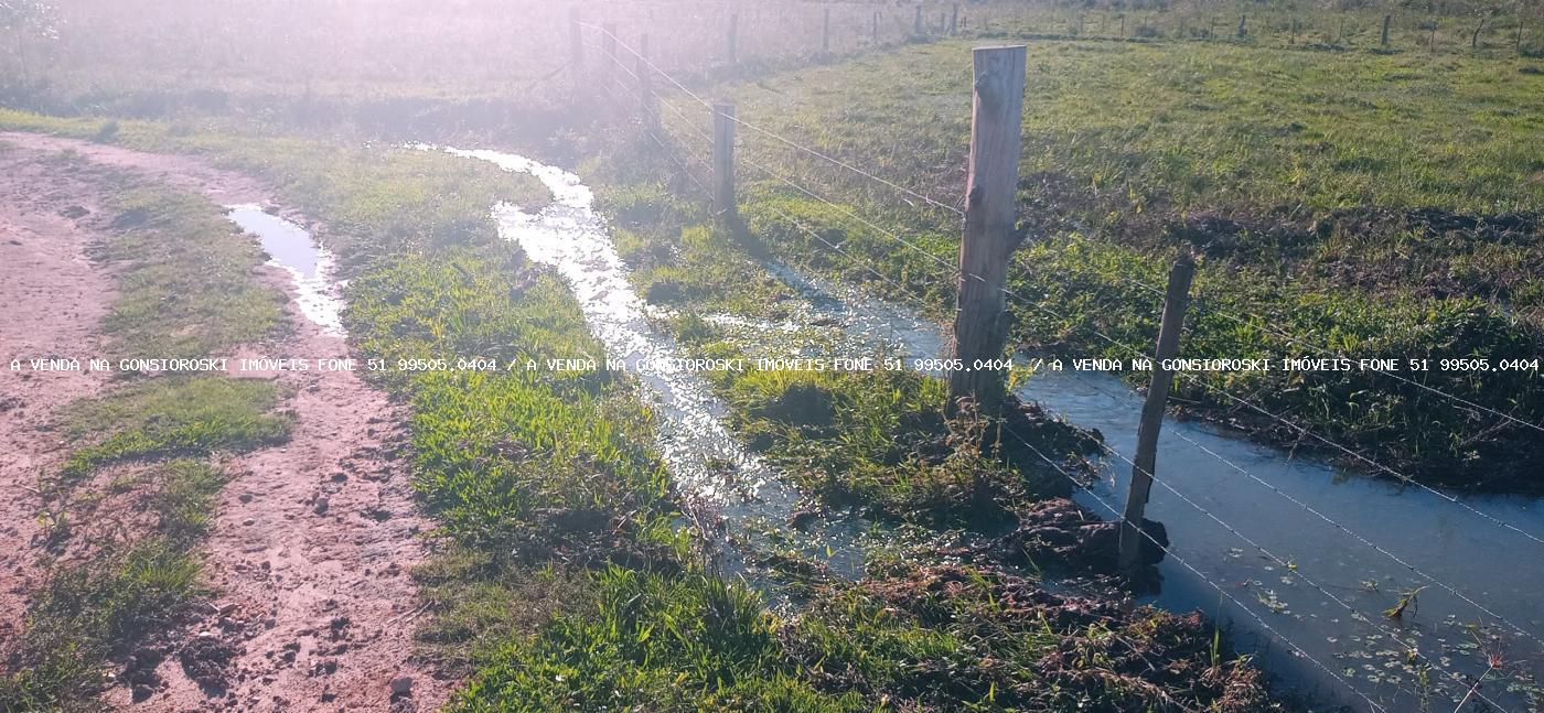 Fazenda à venda com 3 quartos, 55000m² - Foto 12