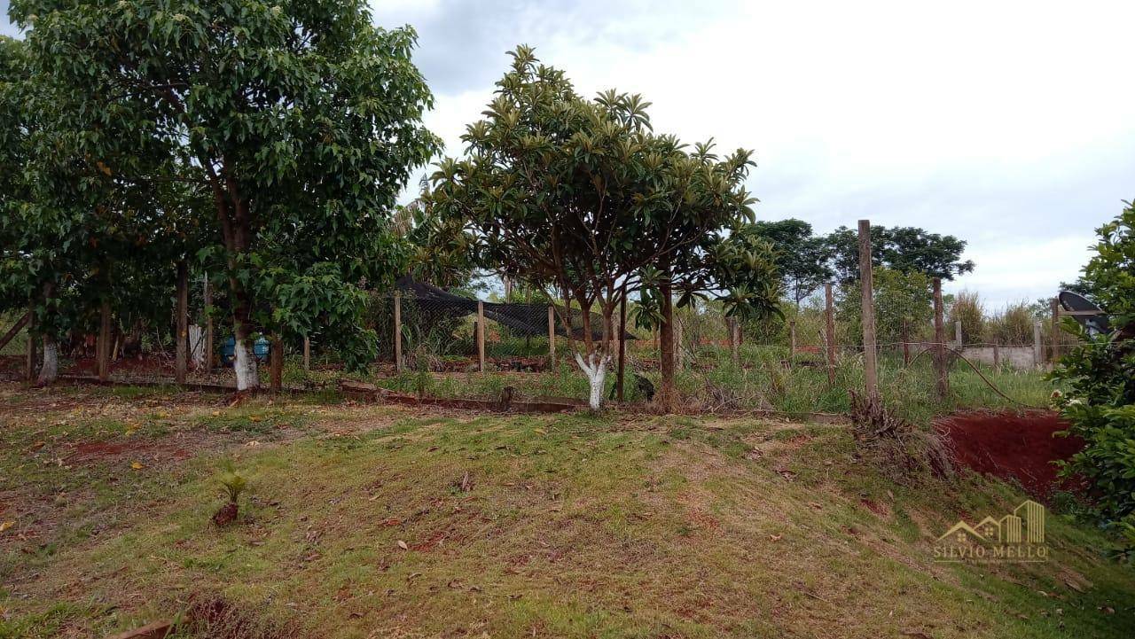 Chácara à venda com 4 quartos, 150m² - Foto 4