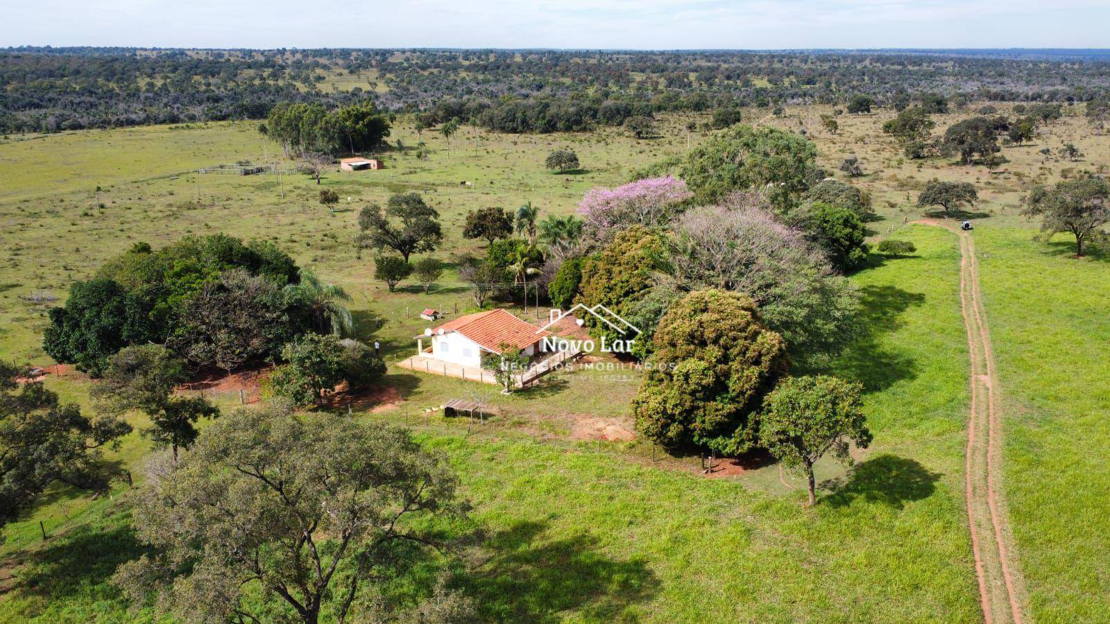 Sítio, 2 quartos, 6 hectares - Foto 4