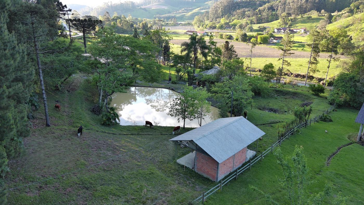 Fazenda à venda com 2 quartos, 8000m² - Foto 42