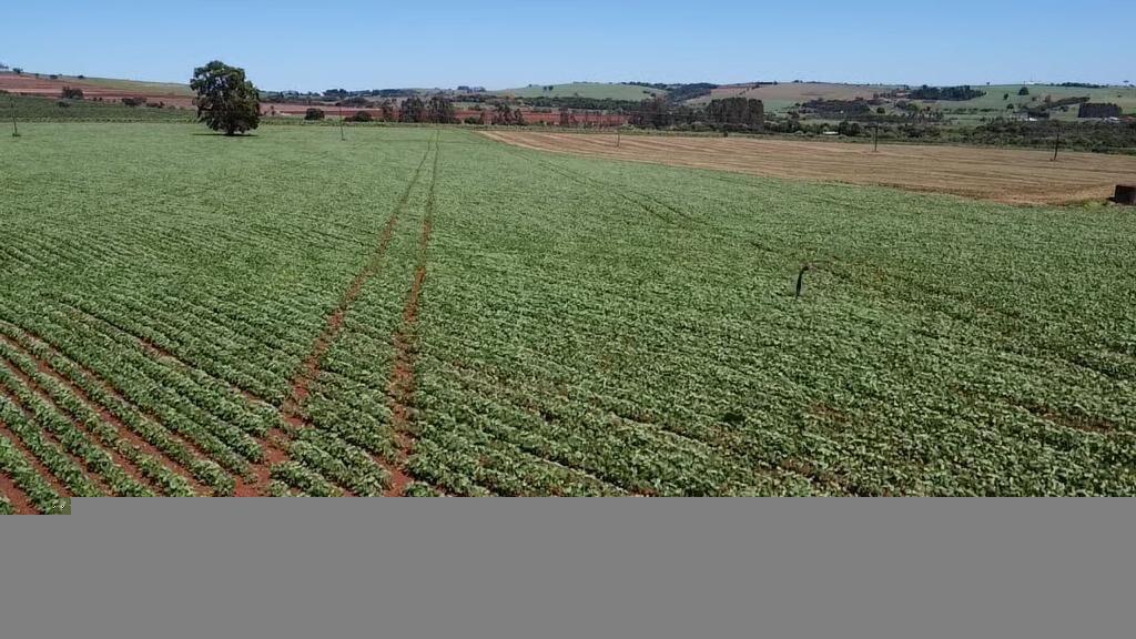 Fazenda à venda com 2 quartos, 1210000m² - Foto 6