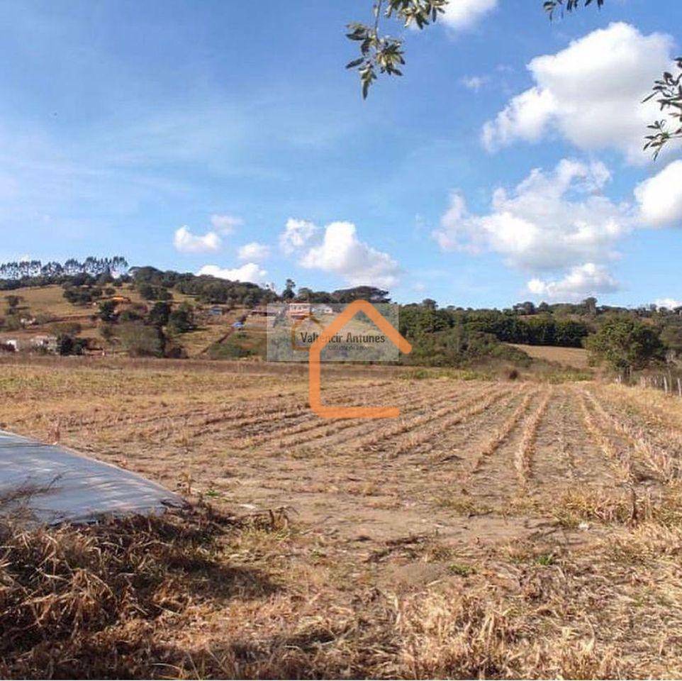 Terreno, 3 hectares - Foto 2