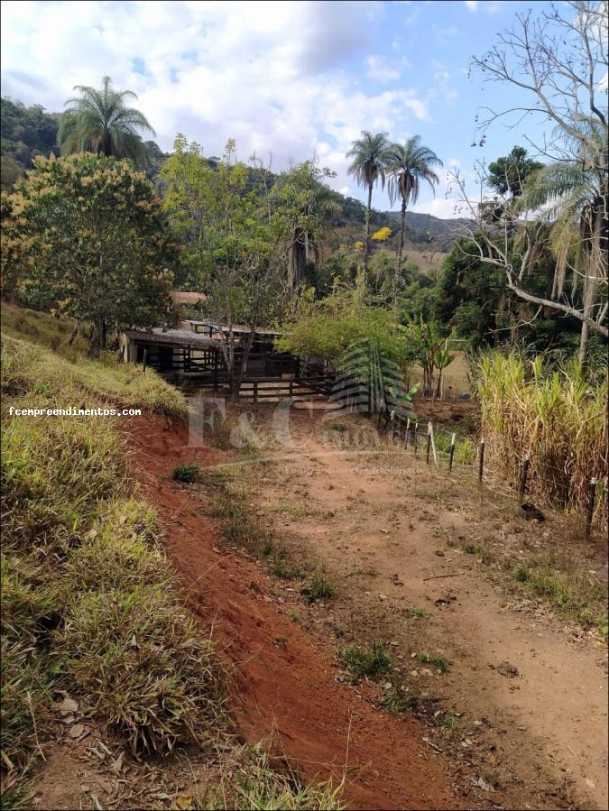 Fazenda à venda com 6 quartos, 53000m² - Foto 29